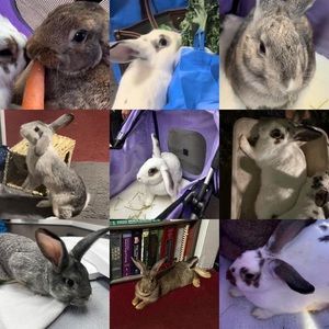 Meet your Posher, Marie